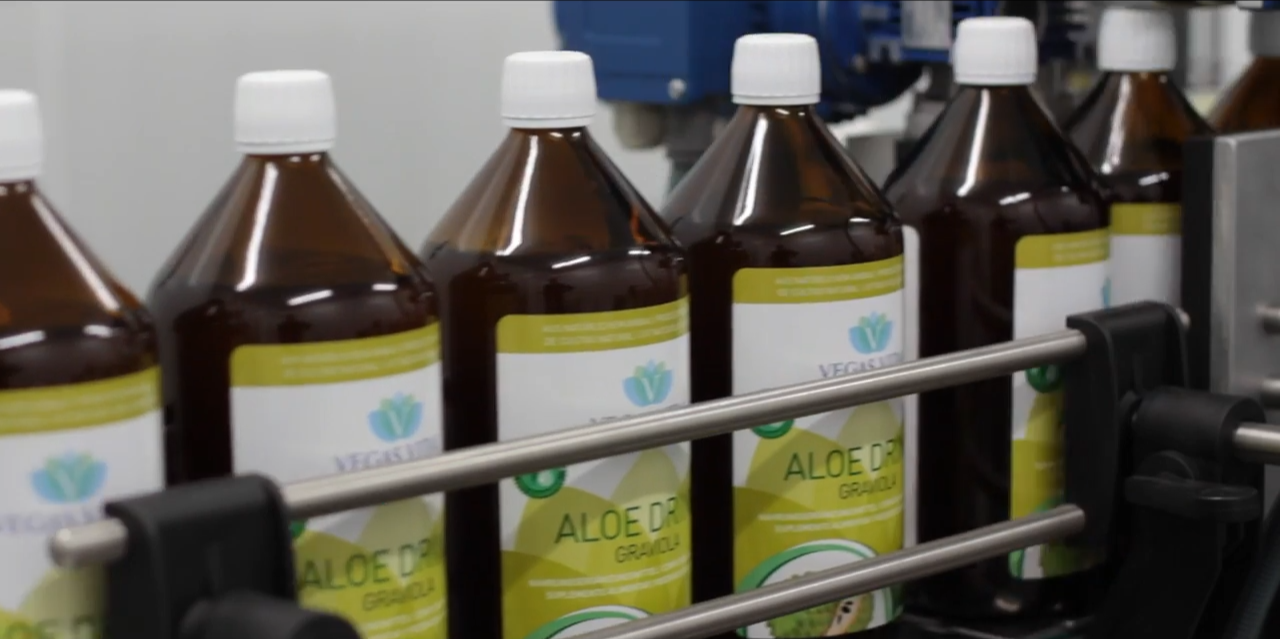 Woman Sharing Her Presentation with her Colleagues